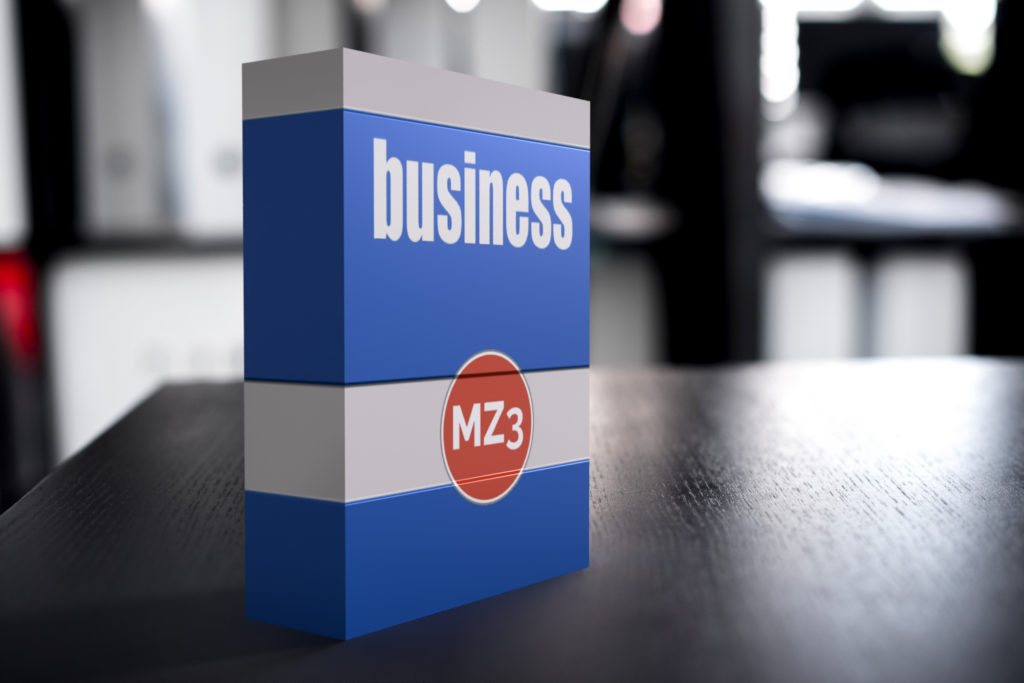 MZ3 business License